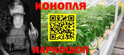spice Славгород
