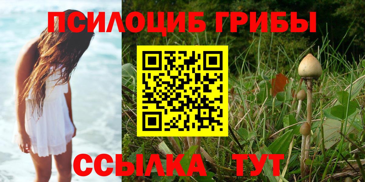 Галлюциногенные грибы Magic Shrooms  Вход с VPN  Обнинск 